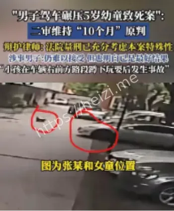 成都特斯拉碾压幼童案