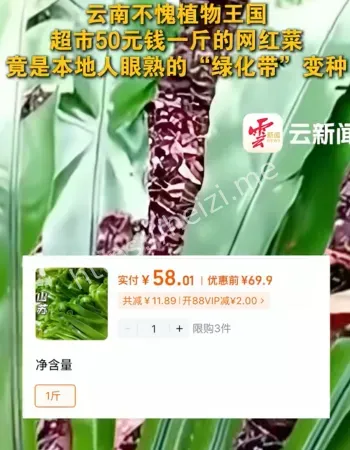 50块网红菜