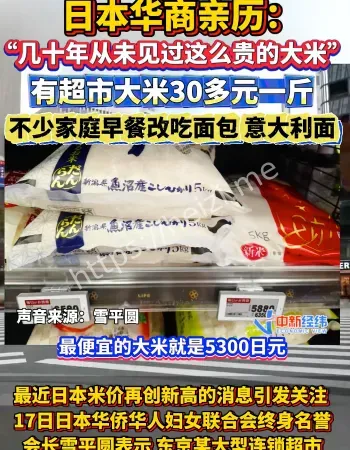 日本米价