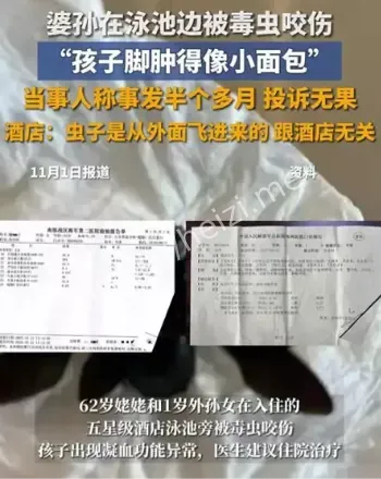 三亚五星酒店泳池毒虫咬伤